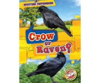 Crow_or_Raven_